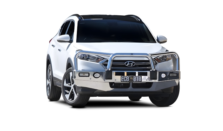 Bullbar with Bumper Lights (code: BHU100SY)