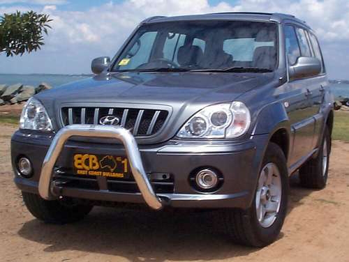 HYUNDAI TERRACAN  Nudge Bar (11/01 to 06)