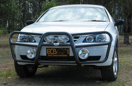 FORD FALCON BF Roo Bar (10/02 to 09/06)