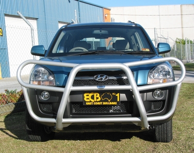 HYUNDAI TUCSON  Roo Bar (08/04 to /10)