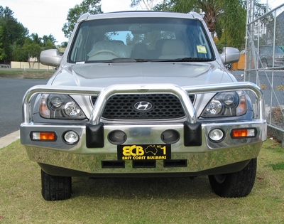 HYUNDAI TERRACAN  Bullbar with Bumper Lights (11/01 to 06)