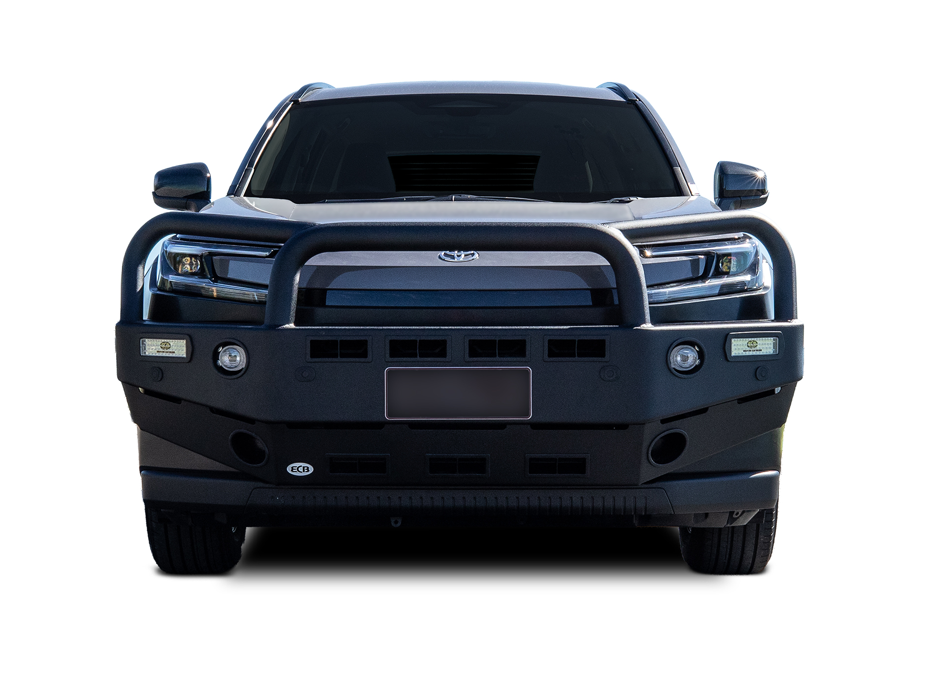 TOYOTA RAV4  Bullbar with umper Lights (02/26 to )