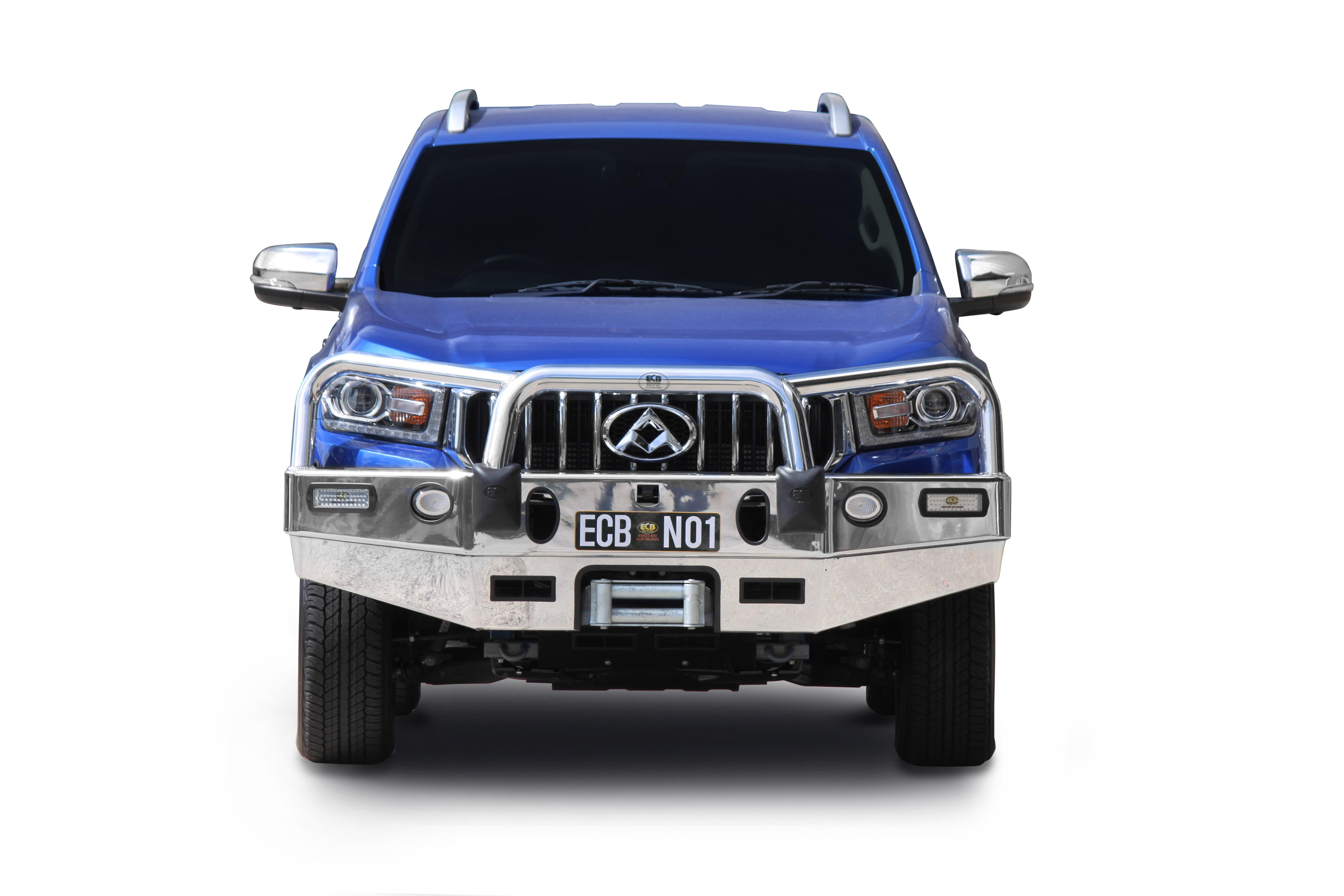 LDV T60  Winch Bullbar with Bumper Lights (07/17 to 08/21)