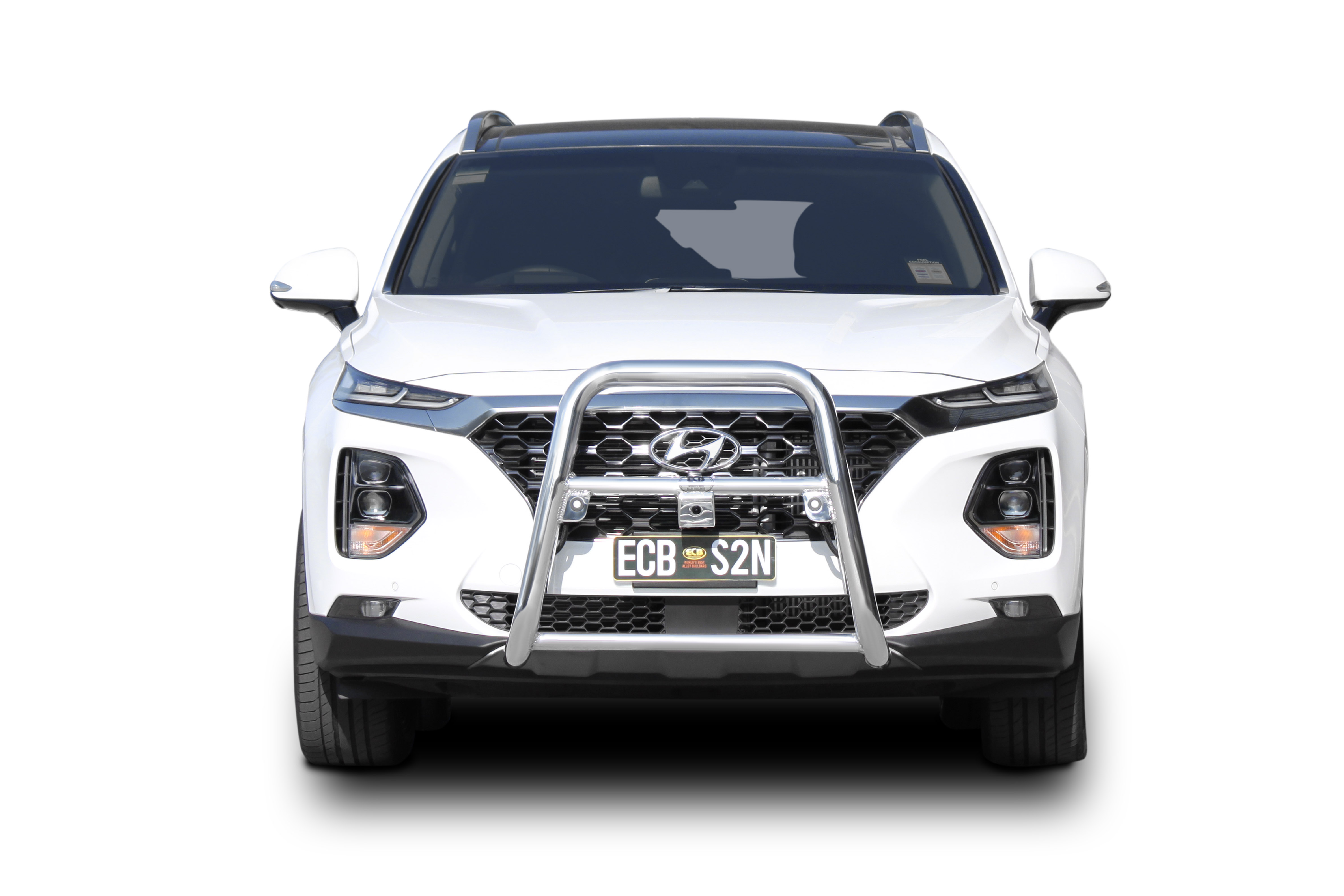 Hyundai santa deals fe bull bar