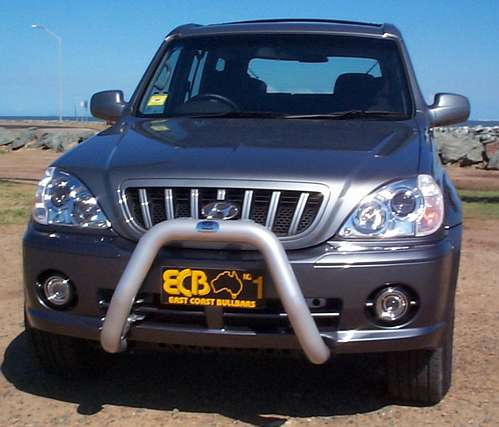 HYUNDAI TERRACAN  Nudge Bar (11/01 to 06)