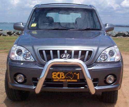 HYUNDAI TERRACAN  Nudge Bar (11/01 to 06)