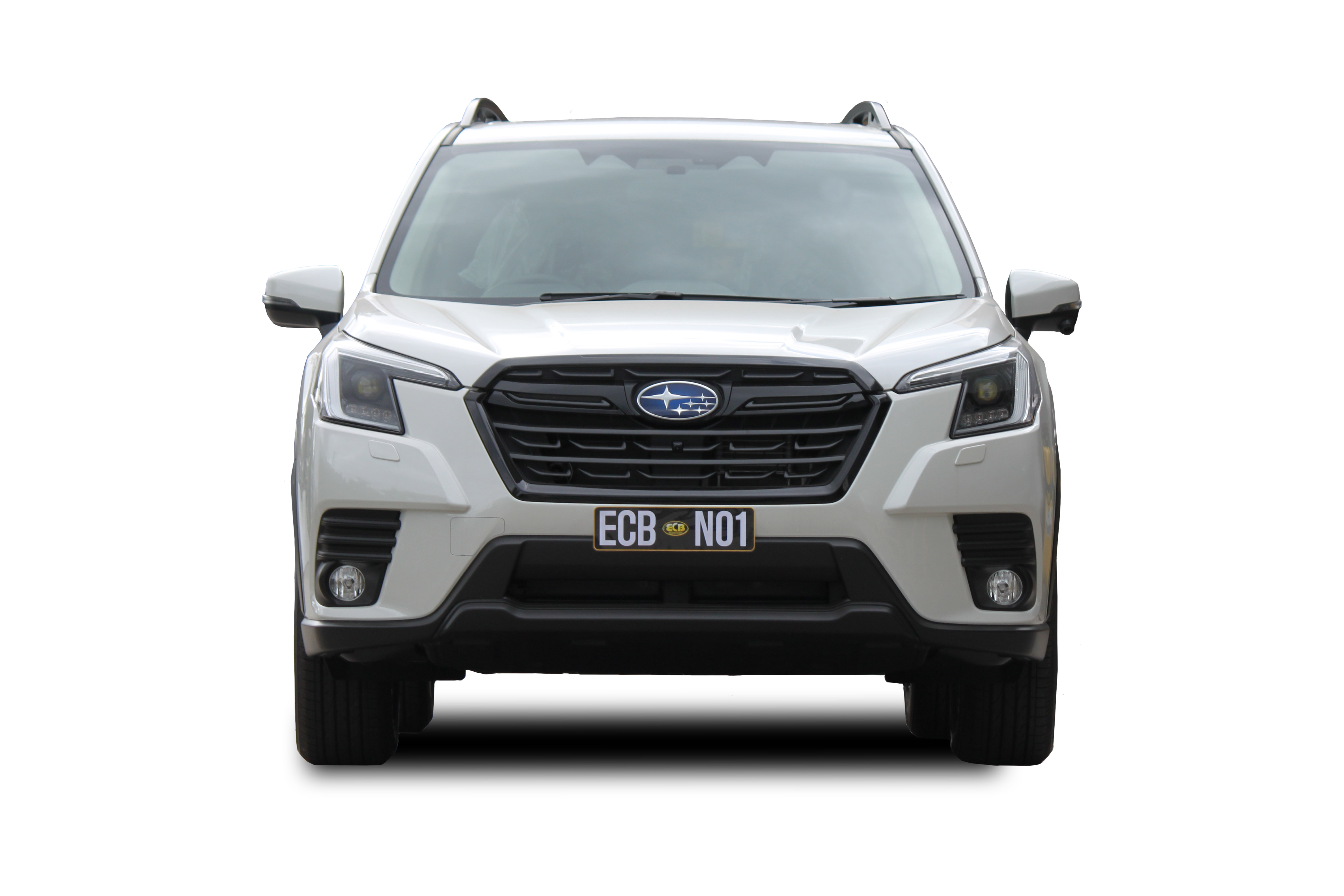 SUBARU FORESTER  Roo Bar (08/21 to )