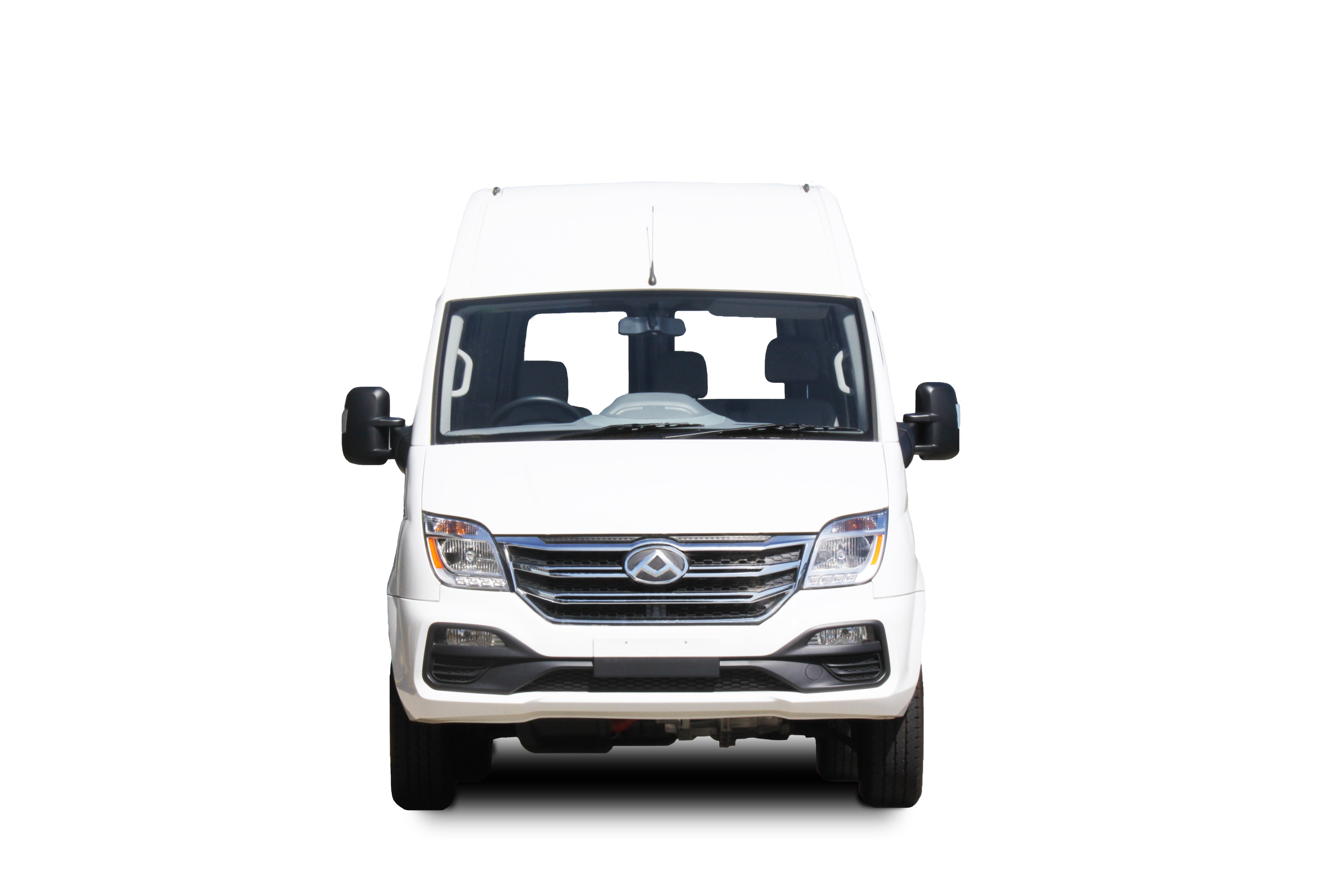 LDV V80  Bullbar (01/19 to )