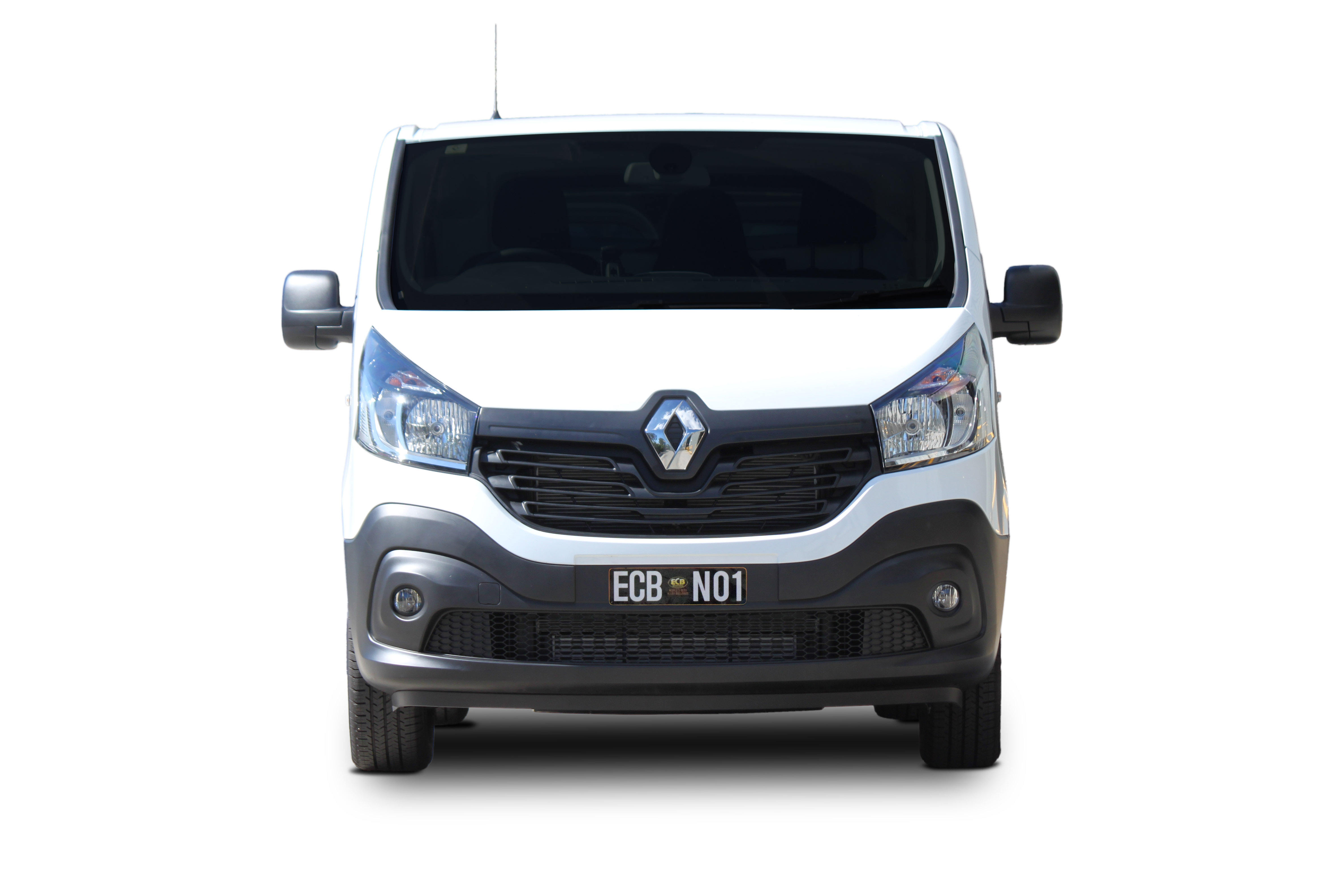 RENAULT TRAFIC  Bullbar with Bumper Lights (10/18 to 06/22)