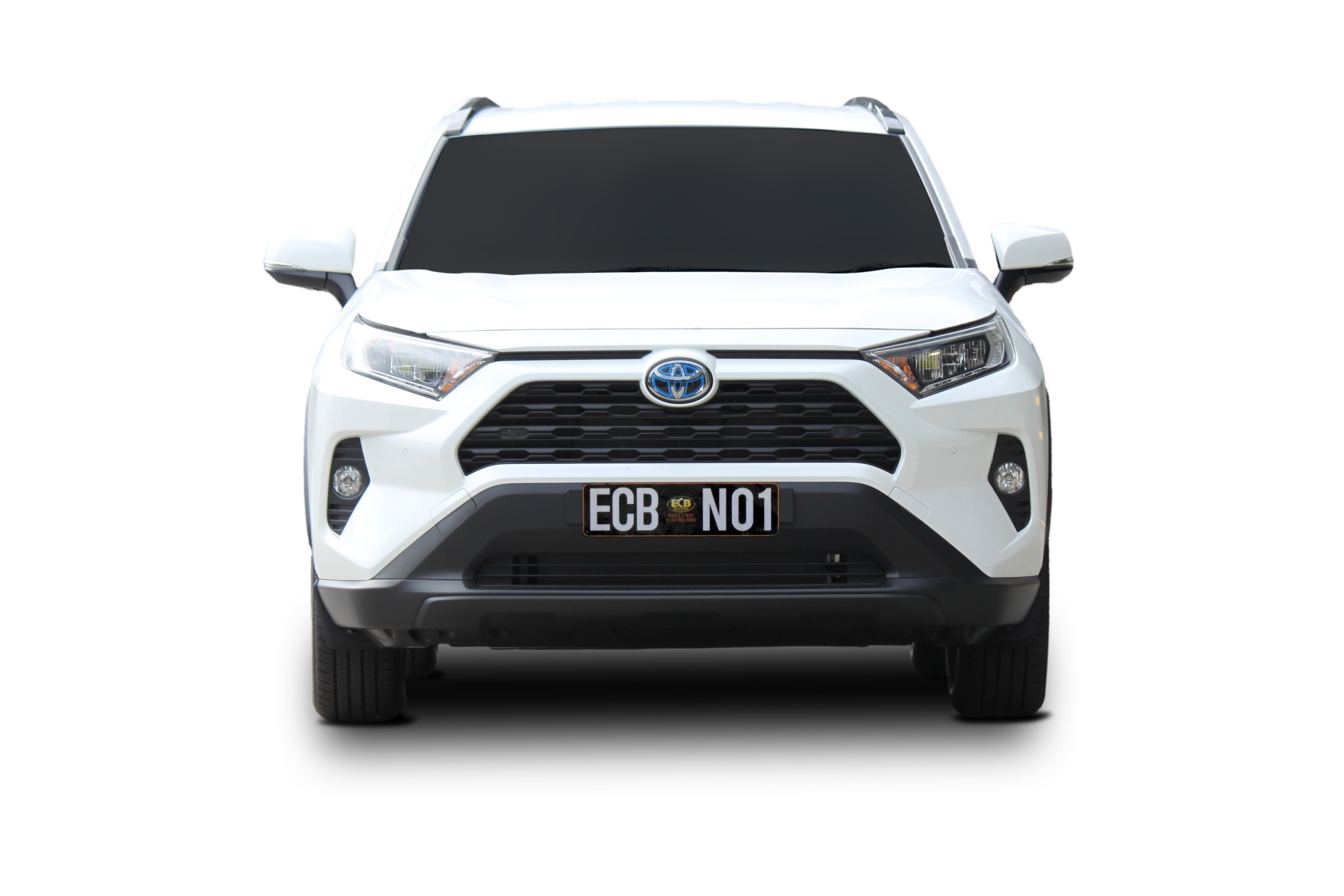 TOYOTA RAV4  Bullbar with Bumper Lights (01/19 to )