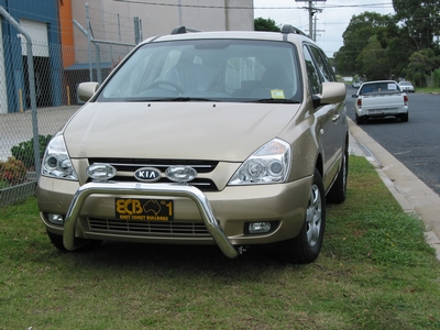 Kia carnival shop bull bar